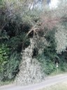 Bild 02