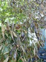 Bild 09