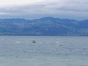 Bild 01