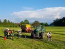 Bild 02