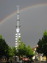 der Wasserburger Maibaum 2010